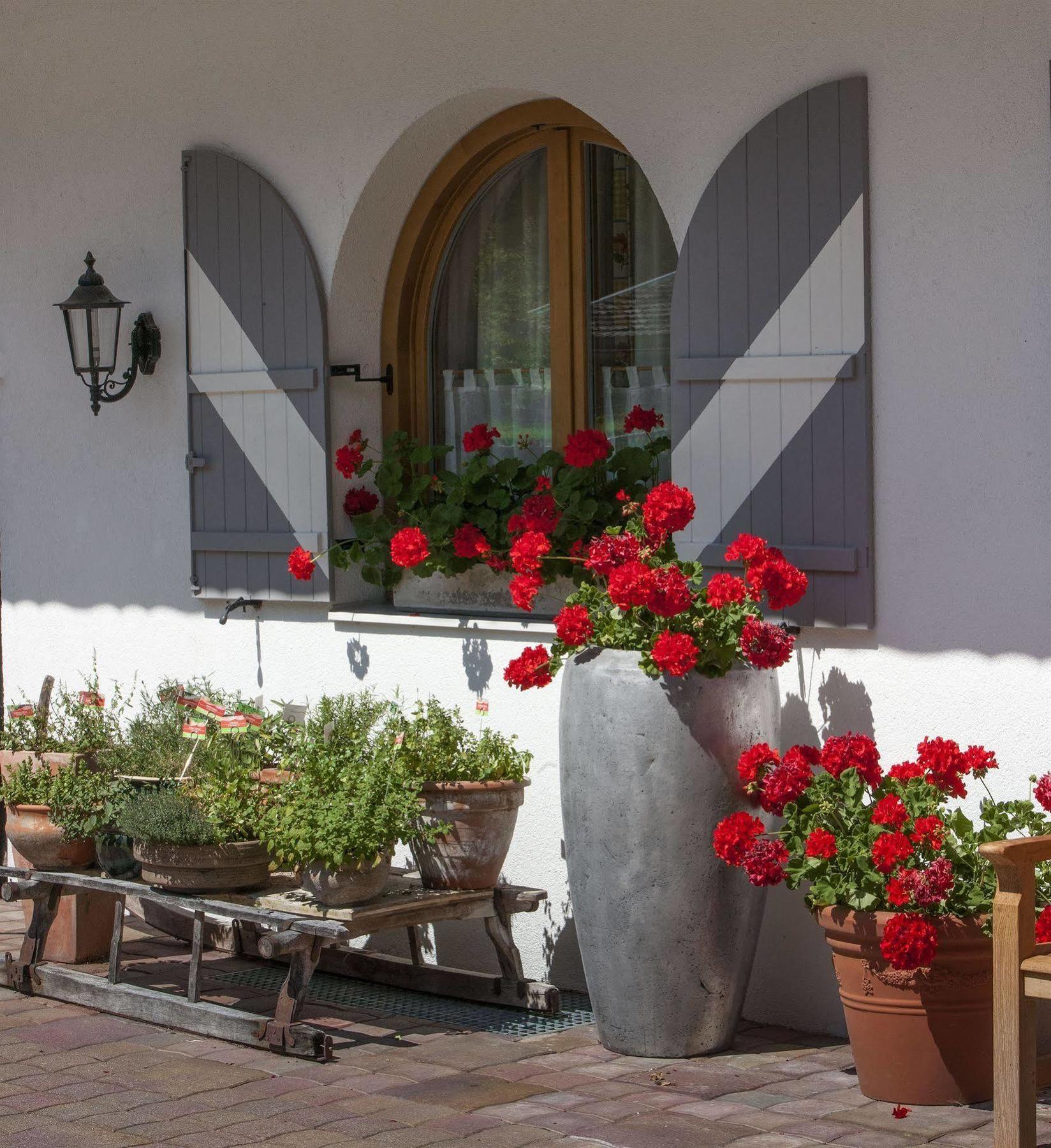 Ferienappartements Landhof Ellmau Exteriér fotografie